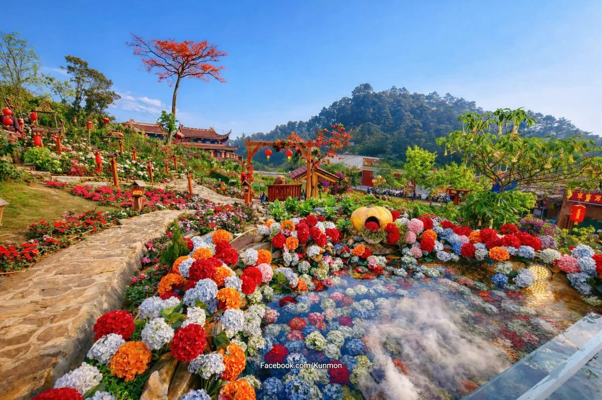 CHECK-IN HOA CẨM TÚ CẦU Ở TAM ĐẢO - ĐIỂM SỐNG ẢO THƠ MỘNG GIỮA NÚI RỪNG