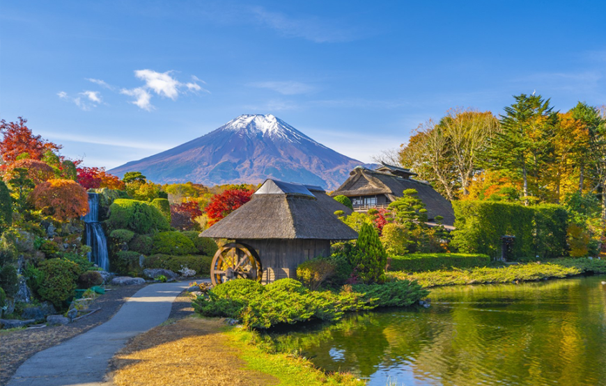 OSAKA – KYOTO – NAGOYA – TOKYO (MÙA HOA ANH ĐÀO)