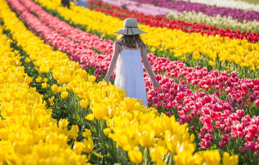 TOUR ÚC: SYDNEY – MELBOURNE 7N6Đ (JS)