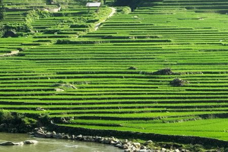 TẢ VAN (SAPA) – NÉT ĐẸP BÌNH YÊN GIỮA THUNG LŨNG MƯỜNG HOA