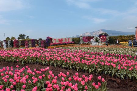 Chung She – Vườn Hoa Lãng Mạn Nổi Tiếng Đài Trung
