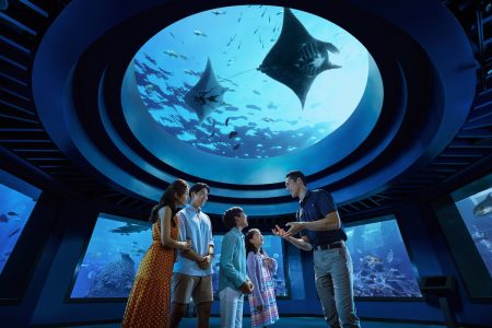 Thủy Cung S.E.A Aquarium Singapore – Trải Nghiệm Đại Dương