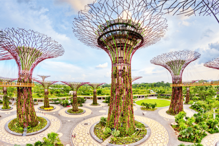 Gardens by the Bay Singapore – Khu Vườn Supertree Độc Đáo